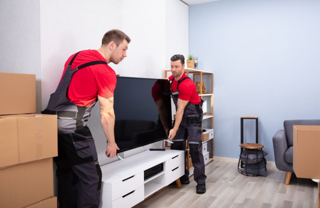 Professional Removalists