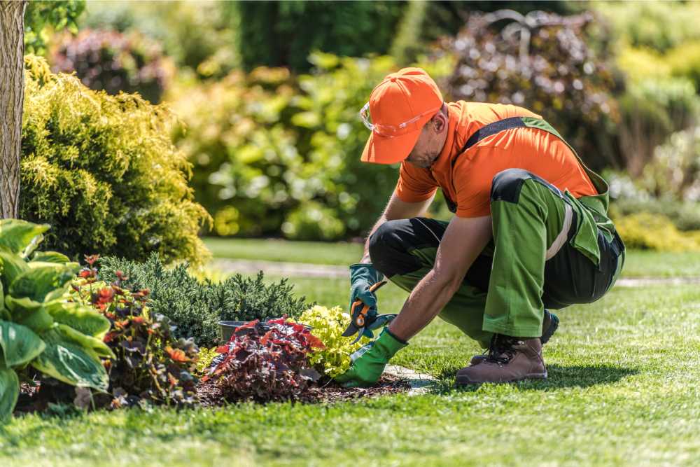 Gardener