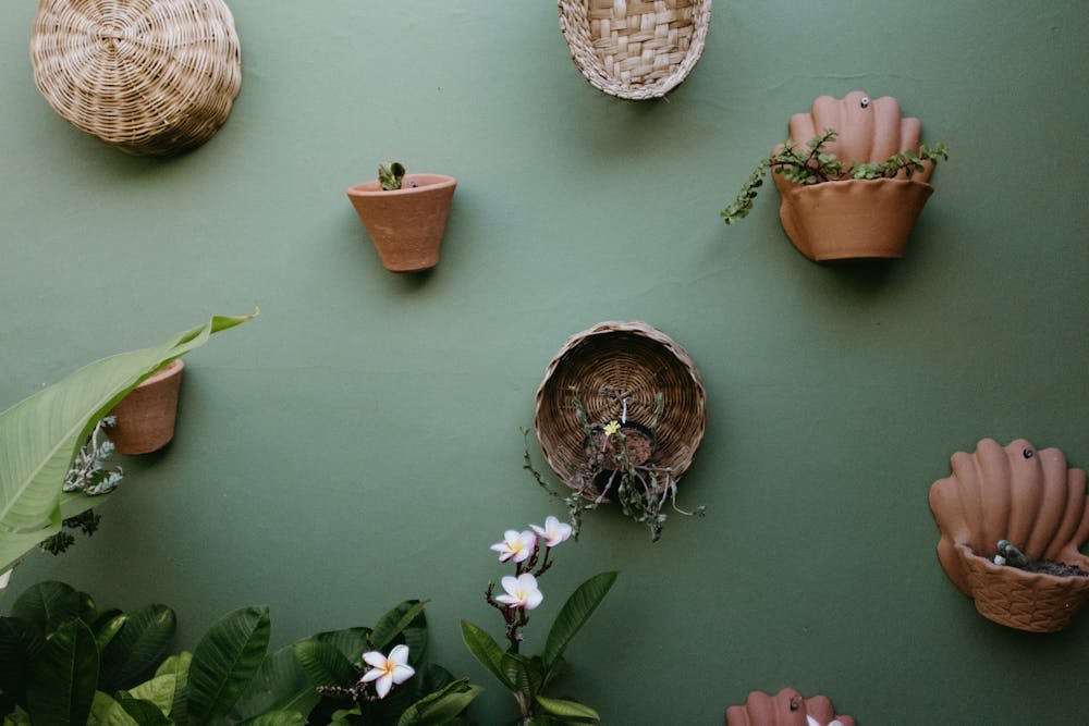 canvas prints